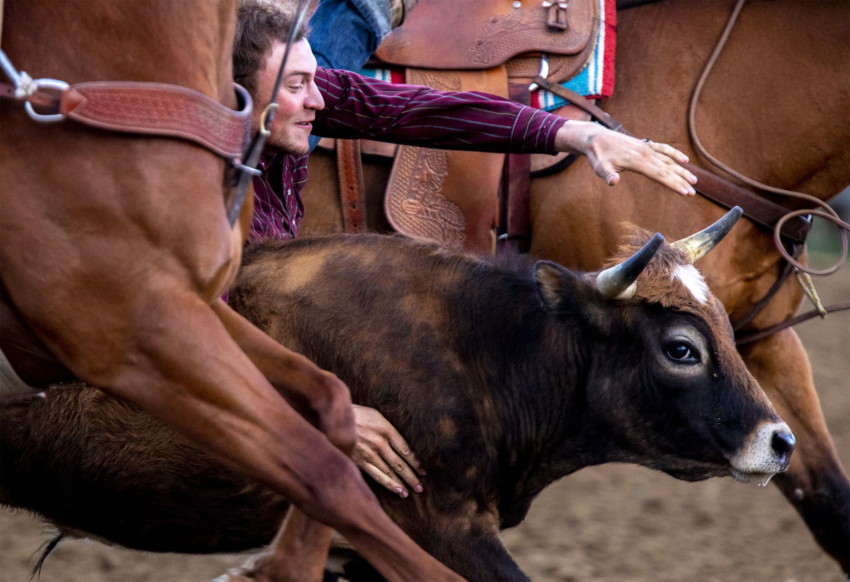 Thursday Rodeo